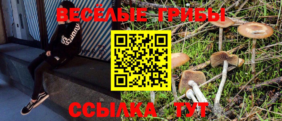 Псилоцибиновые грибы MAGIC MUSHROOMS  Галлюциногенные грибы прущие грибы  Вход с VPN  Санкт-Петербург 